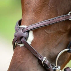 Nunn Finer Figure Eight Bridle -Equestrian Supply Store bridle3 46165870 fad2 409e ae3d ca7da5e4cdc6