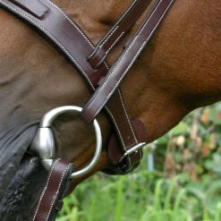 Dy'on Fancy Stitch Wide Noseband Bridle -Equestrian Supply Store bridle4 5bfb0366 19a2 4a05 ab7e fe08591f5851
