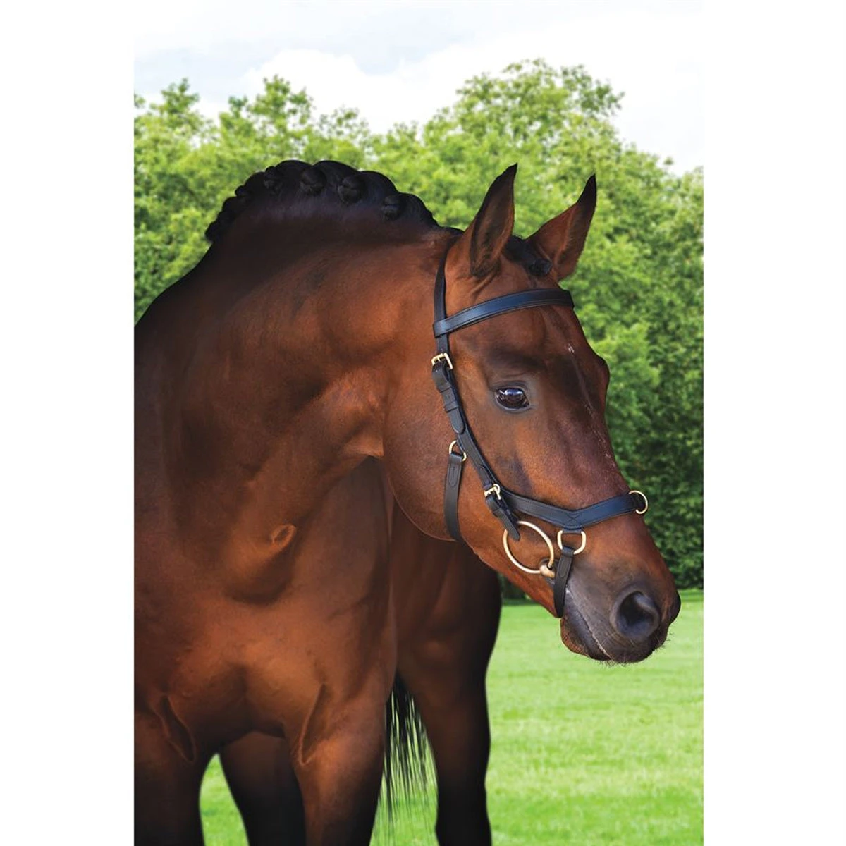 Horseware Rambo Micklem Multibridle 7 Horseware Rambo Micklem Multibridle - Image 7