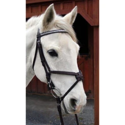 Nunn Finer Figure Eight Bridle -Equestrian Supply Store bridle5 9a50a3e3 345a 4af3 8fc7 ec18cd907750