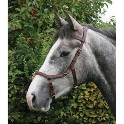 Horseware Rambo Micklem Multibridle 19 Horseware Rambo Micklem Multibridle -Equestrian Supply Store bridle6 176ffa29 d9a4 474f 9cc0 dc82ba1c9ad6