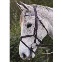 Nunn Finer Padded Figure 8 Noseband With Interchangeable Button Pieces -Equestrian Supply Store bridle7 93402.1588702952.1280.1280