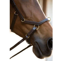 Horseware Rambo Micklem Multibridle 17 Horseware Rambo Micklem Multibridle -Equestrian Supply Store bridle7 dbdae65c 834f 4c38 82af 05b9ee064b97