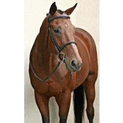 Nunn Finer Elena Hunter Bridle -Equestrian Supply Store bridle7 df3ecb4e b033 46d4 bb3c 3bfe7a5c5abb