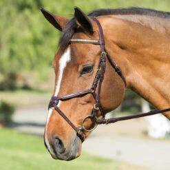 Nunn Finer Padded Figure 8 Noseband With Interchangeable Button Pieces -Equestrian Supply Store bridle8 91054.1588702953.1280.1280