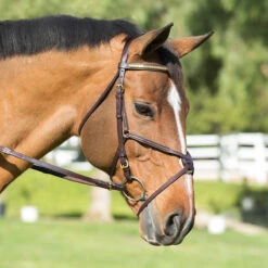 Nunn Finer Padded Figure 8 Noseband With Interchangeable Button Pieces -Equestrian Supply Store bridle9 40869.1588702952.1280.1280