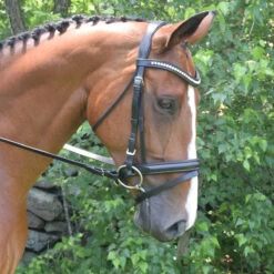 Black Oak By KL Select Magnolia Dressage Bridle