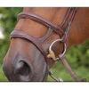 Dyon Double Noseband - D Collection