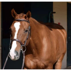 Huntley Equestrian Sedgwick Leather Fancy Stitched Bridle -Equestrian Supply Store huntley eq sedgwick aust nut5 95416.1588357252.1280.1280