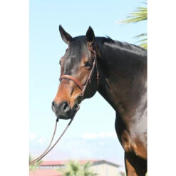 Huntley Equestrian Sedgwick Leather Fancy Stitched Bridle -Equestrian Supply Store huntley eq sedgwick conker 02308.1589920650.1280.1280