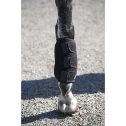 Ice Horse Tendon Wrap -Equestrian Supply Store ice horse tendon wrap5 36438.1588363182.1280.1280