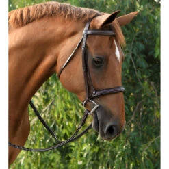 Equestrian Supply Store -Equestrian Supply Store icon 98505.1582834220.1280.1280