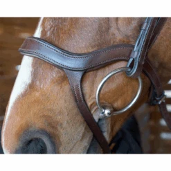 Nunn Finer Innovativo Shaped Bridle -Equestrian Supply Store innovatio3