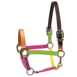 Perri's Premium Nylon Safety Halter -Equestrian Supply Store neon multi 52151.1588257175.1280.1280