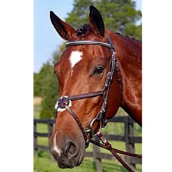 Nunn Finer Figure Eight Bridle -Equestrian Supply Store new 31853545 40ae 422b a823 f67607d5803d