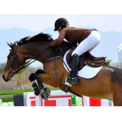 Ogilvy Jump Profile Pad -Equestrian Supply Store pad2