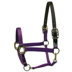 Perri's Premium Nylon Safety Halter -Equestrian Supply Store purple 30426.1588257175.1280.1280