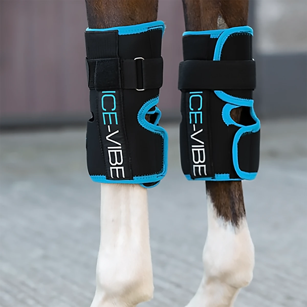Ice-Vibe Knee Wrap By Horseware 1 Ice-Vibe Knee Wrap By Horseware