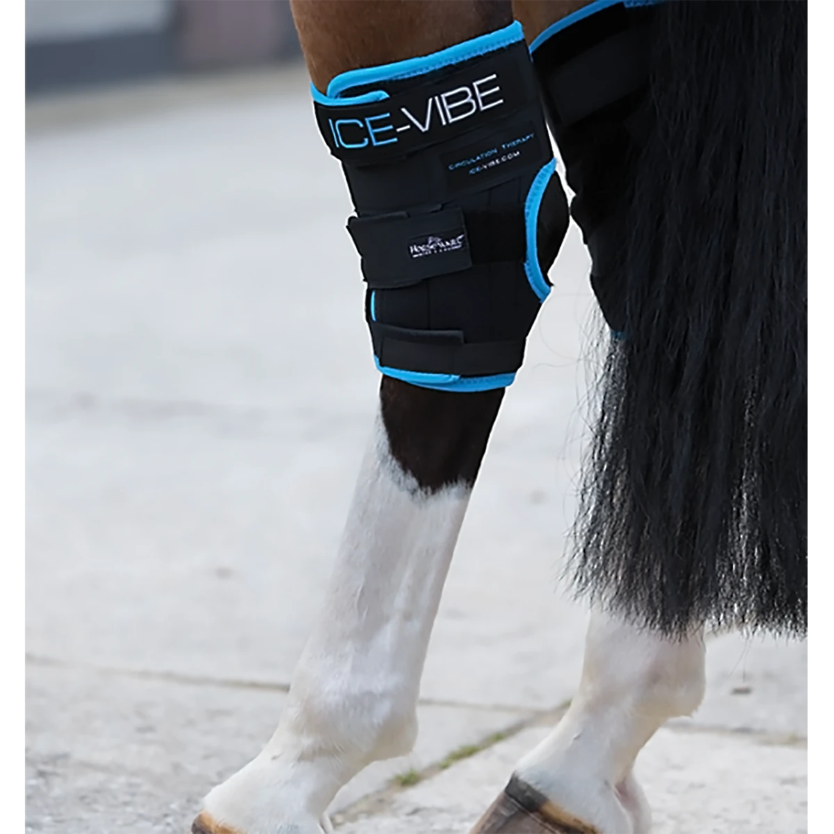 Ice-Vibe Hock Wrap By Horseware 1 Ice-Vibe Hock Wrap By Horseware