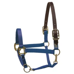 Perri's Premium Nylon Safety Halter -Equestrian Supply Store royal bllue 76627.1588257174.1280.1280