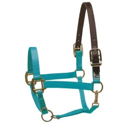 Perri's Premium Nylon Safety Halter -Equestrian Supply Store turquoise 84378.1588257174.1280.1280